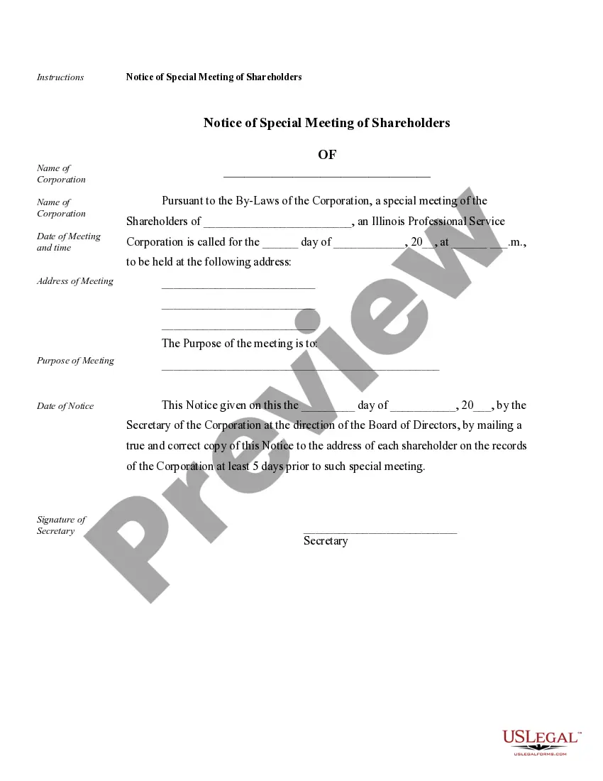 Preview Annual Minutes for an Illinois Professional Corporation