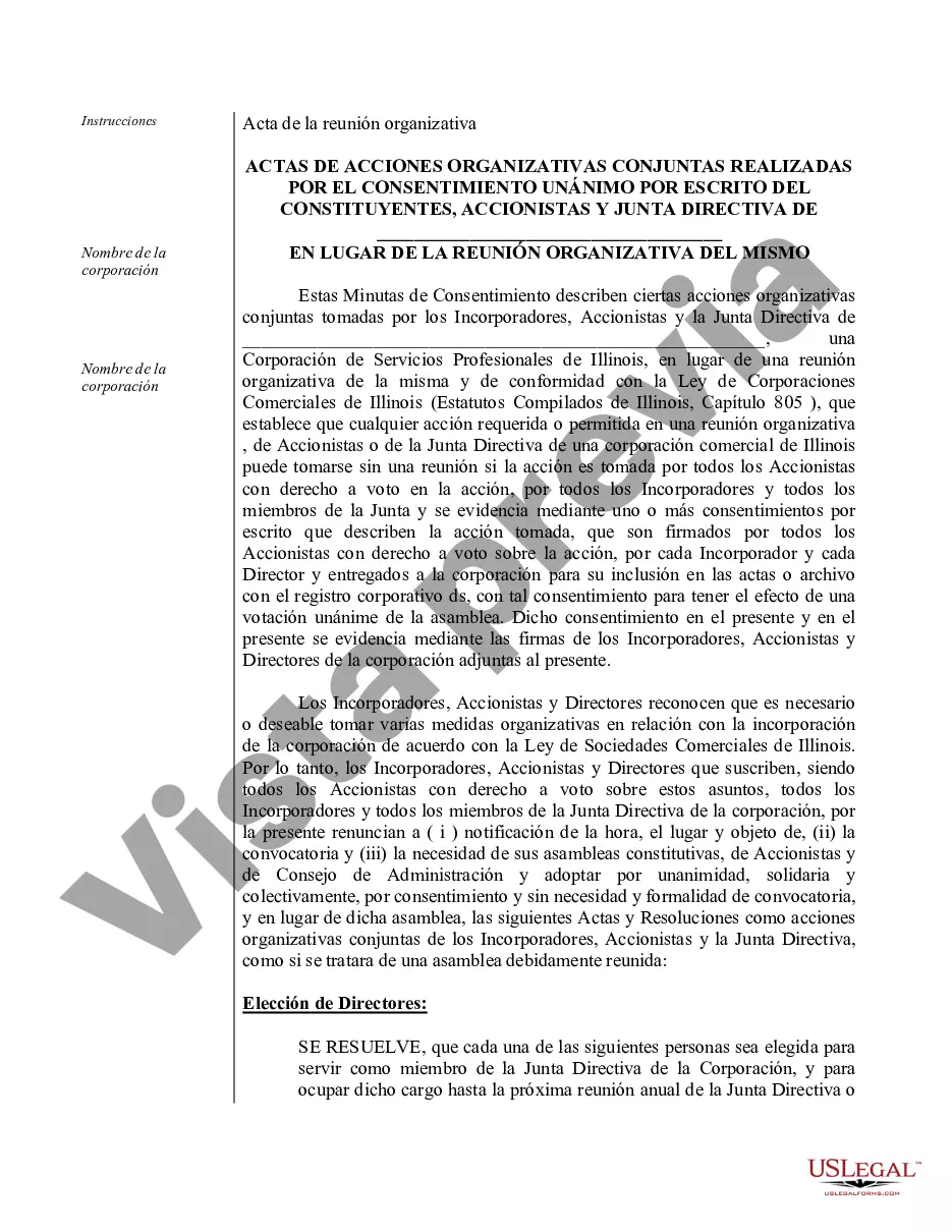 Preview Actas de organización para una corporación profesional de Illinois