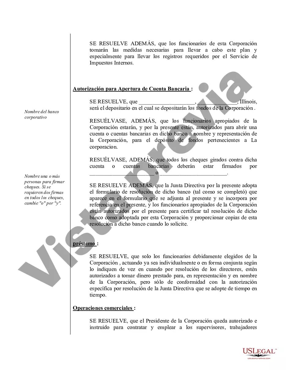 Preview Actas de organización para una corporación profesional de Illinois