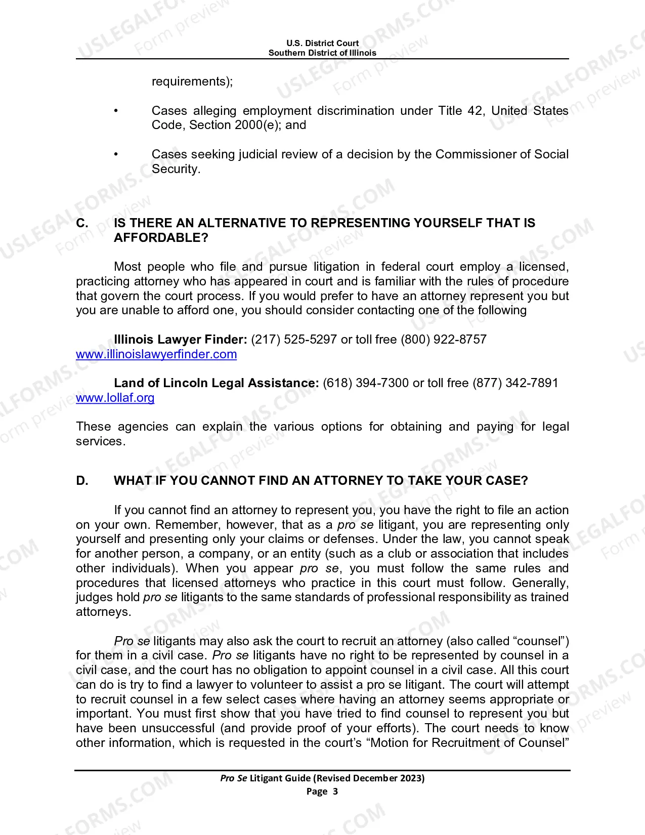 Preview Pro Se Litigant Guide