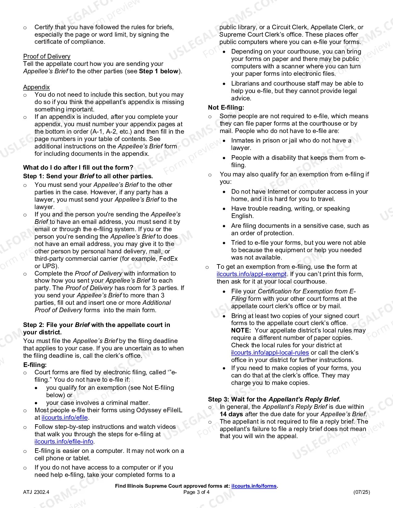 Preview How to File an appellee's Brief