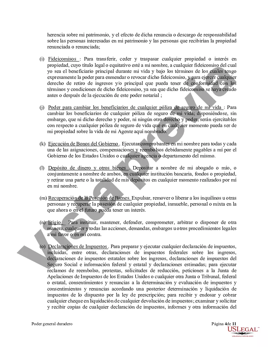 Preview Poder general duradero para la propiedad y las finanzas o efectivo financiero en caso de incapacidad