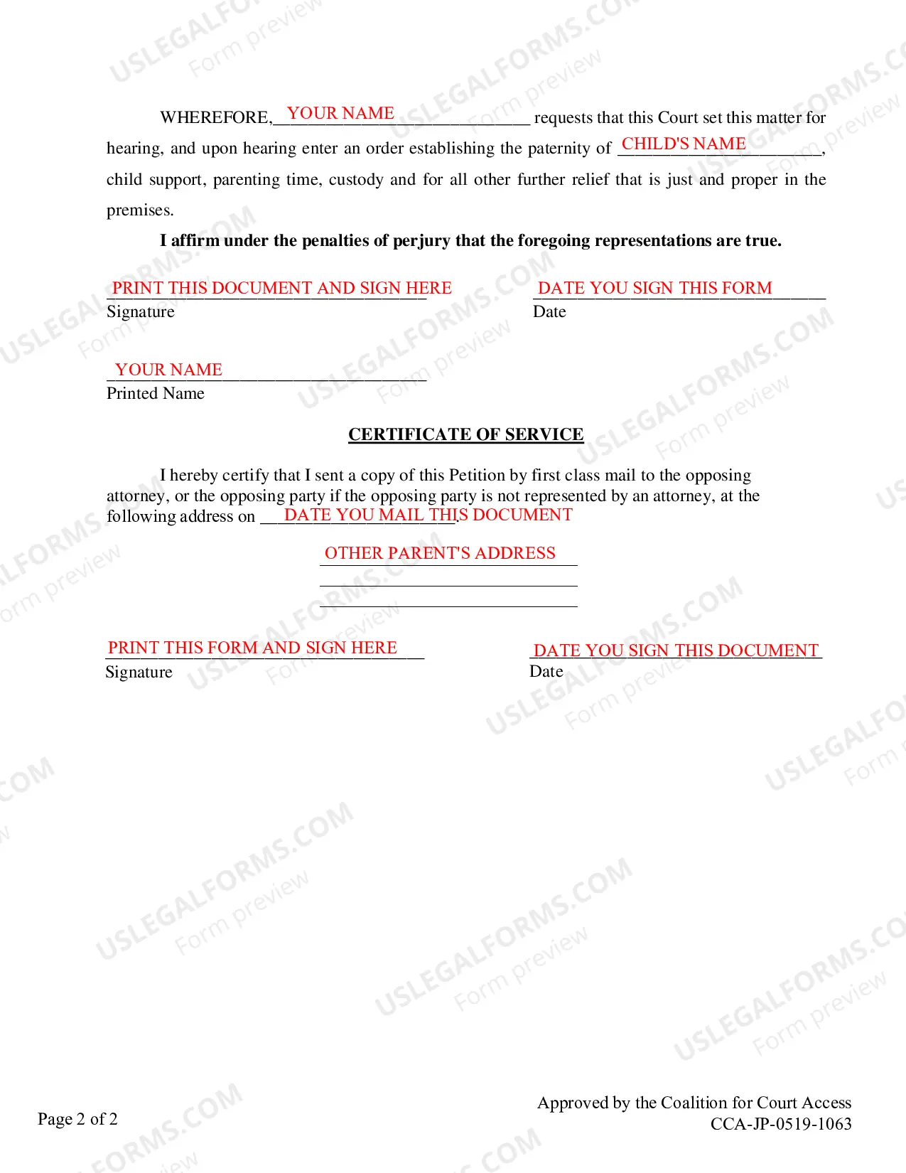 Preview Instructions for Petition for Paternity