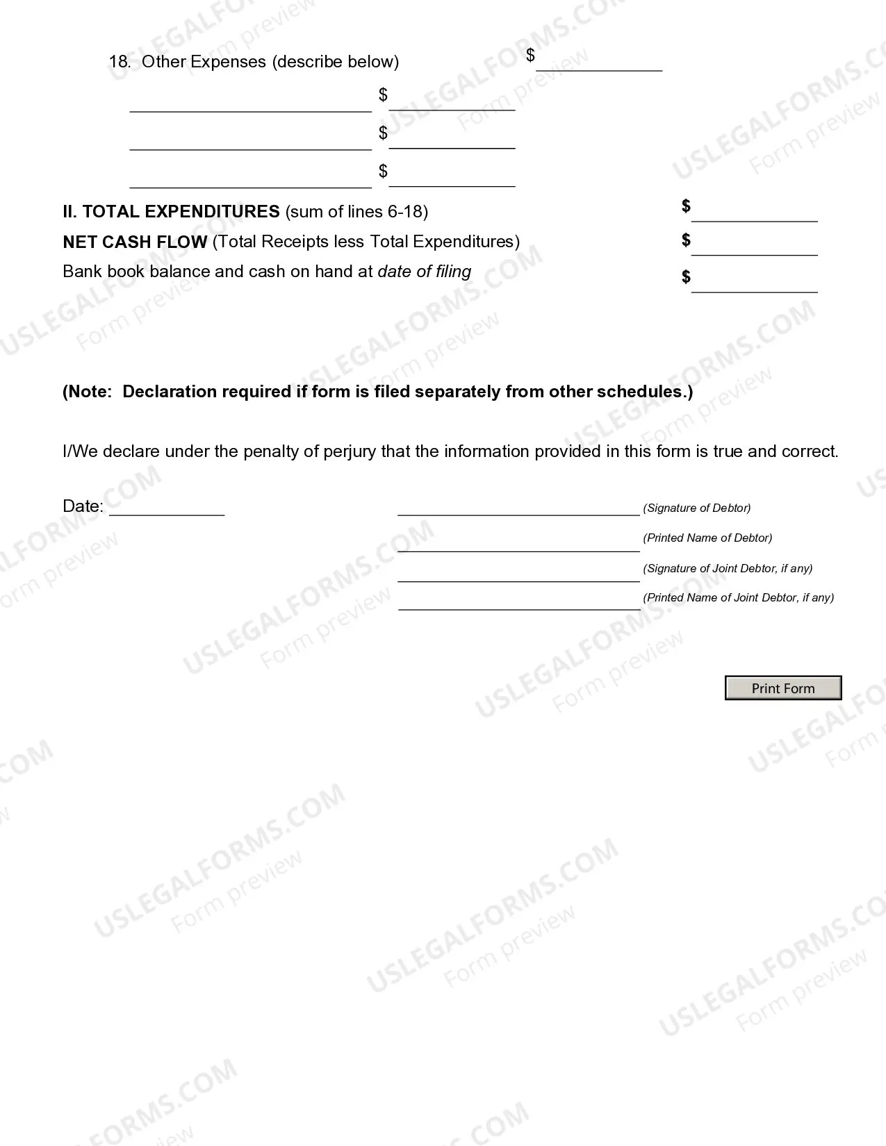 Preview Income and Expense,Current Business - Non-Individual (Alternatives to Schedules I and J)