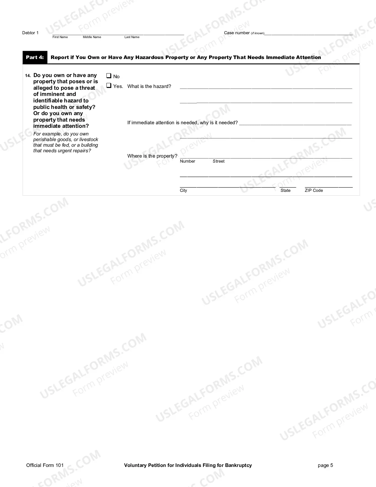 Preview Pro Se Debtor Packet