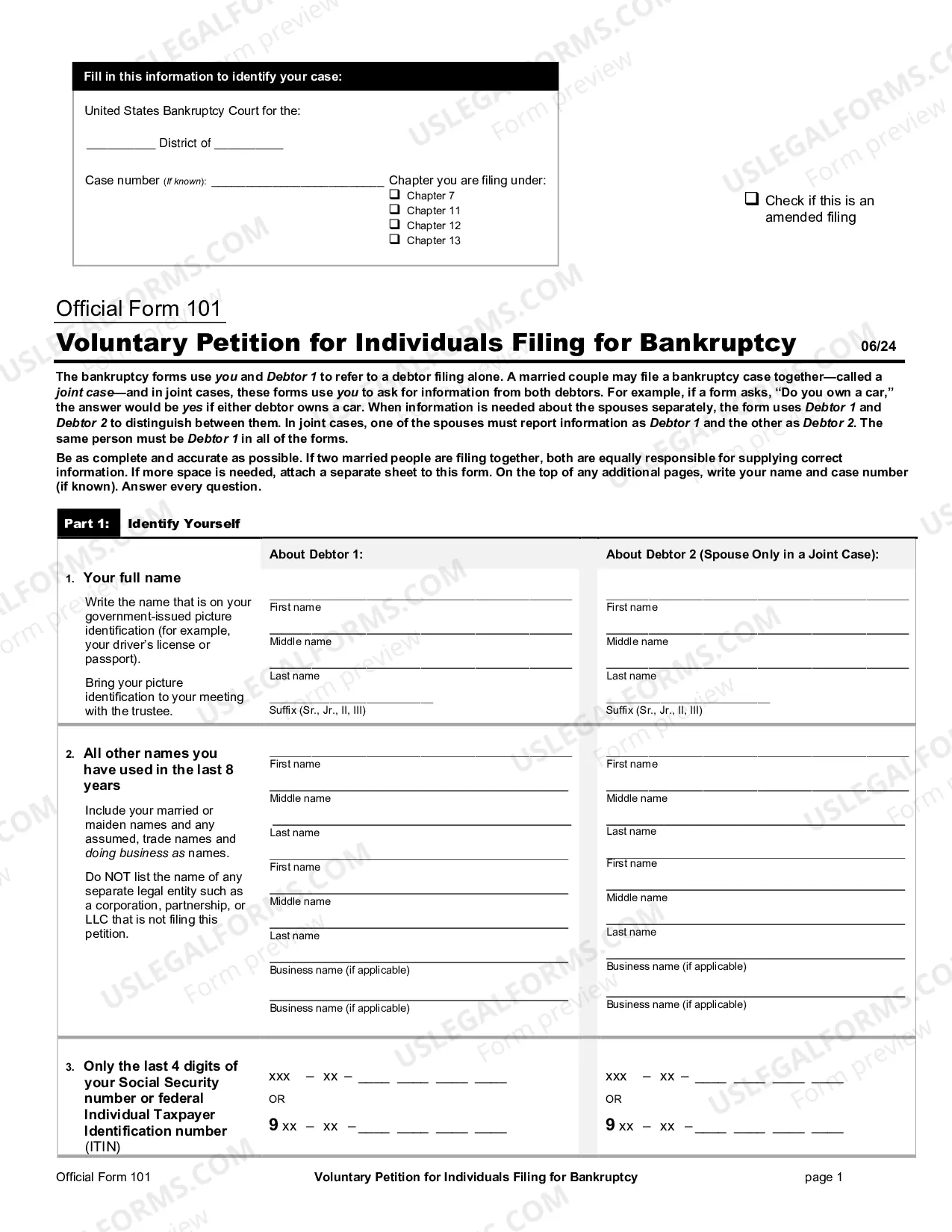 Preview Pro Se Debtor Packet