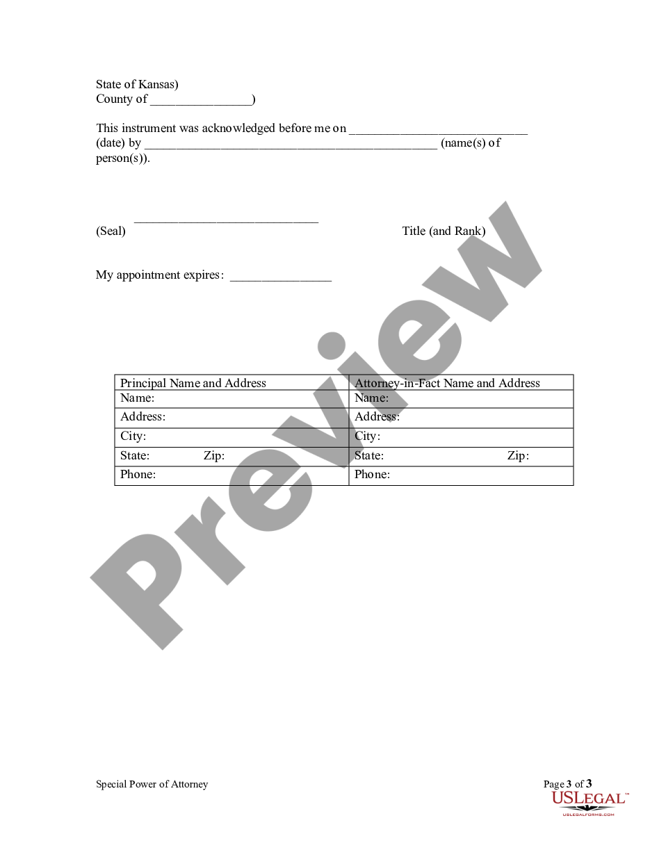 page 2 Special or Limited Power of Attorney for Real Estate Purchase Transaction by Purchaser preview