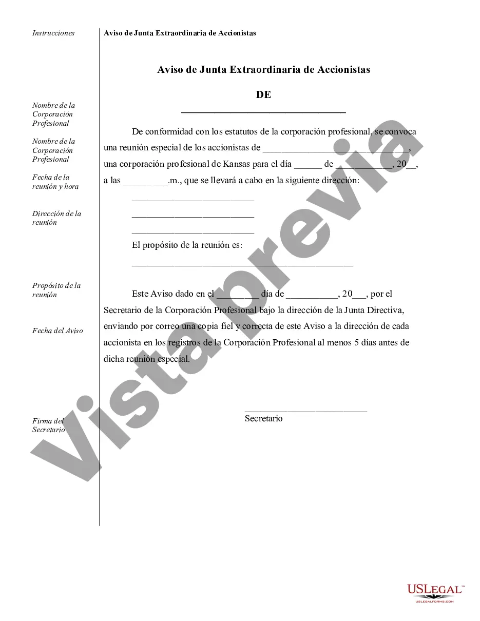 Preview Ejemplos de registros corporativos para una corporación profesional de Kansas
