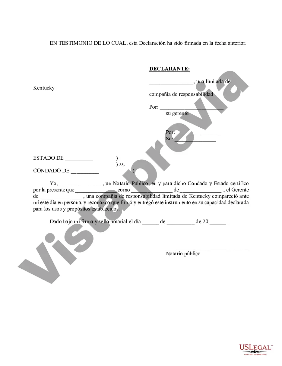 Preview Declaración - Aprobación del Diseño