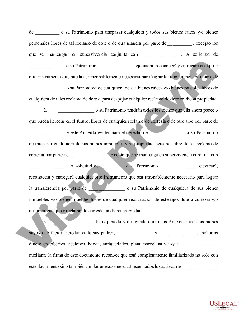 Preview Acuerdo antenupcial y rastreo de reconocimiento de activos no marciales