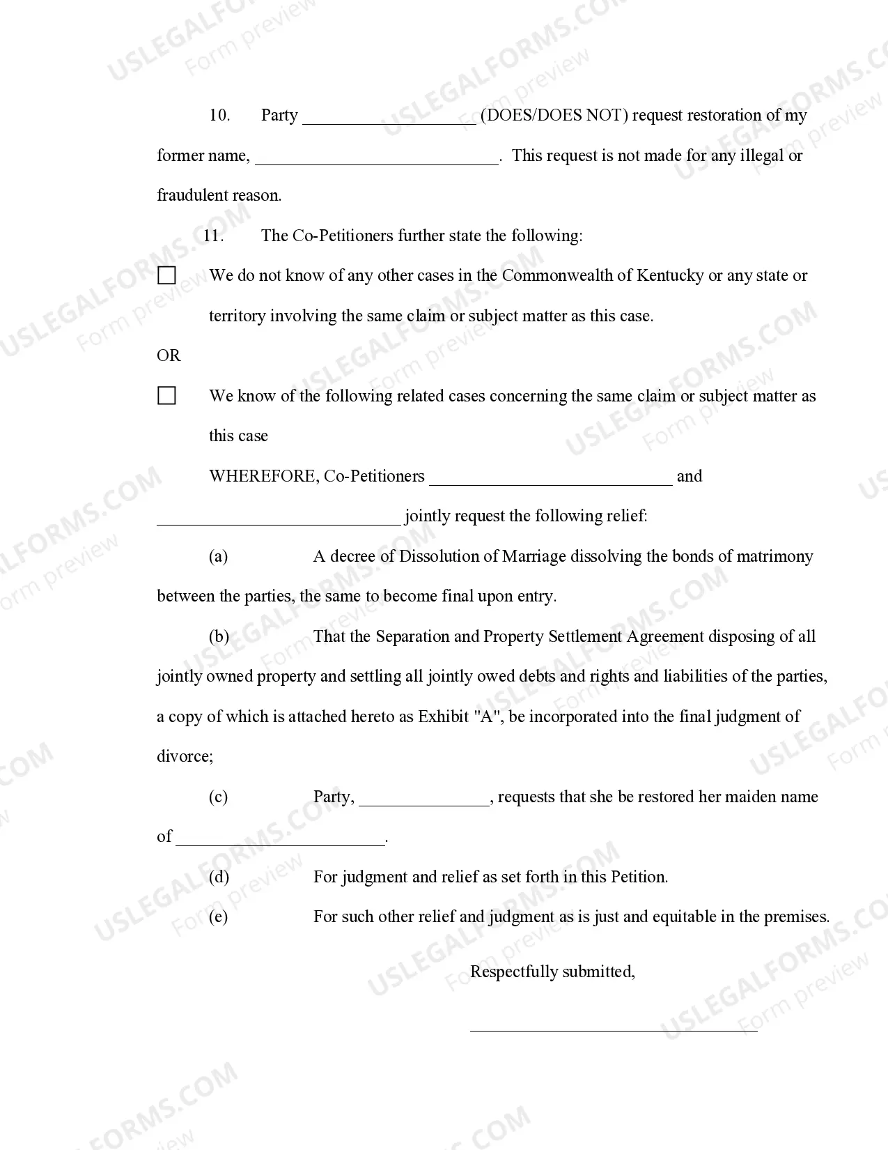 Preview Verified Joint Petition for Dissolution of Marriage with Adult Children
