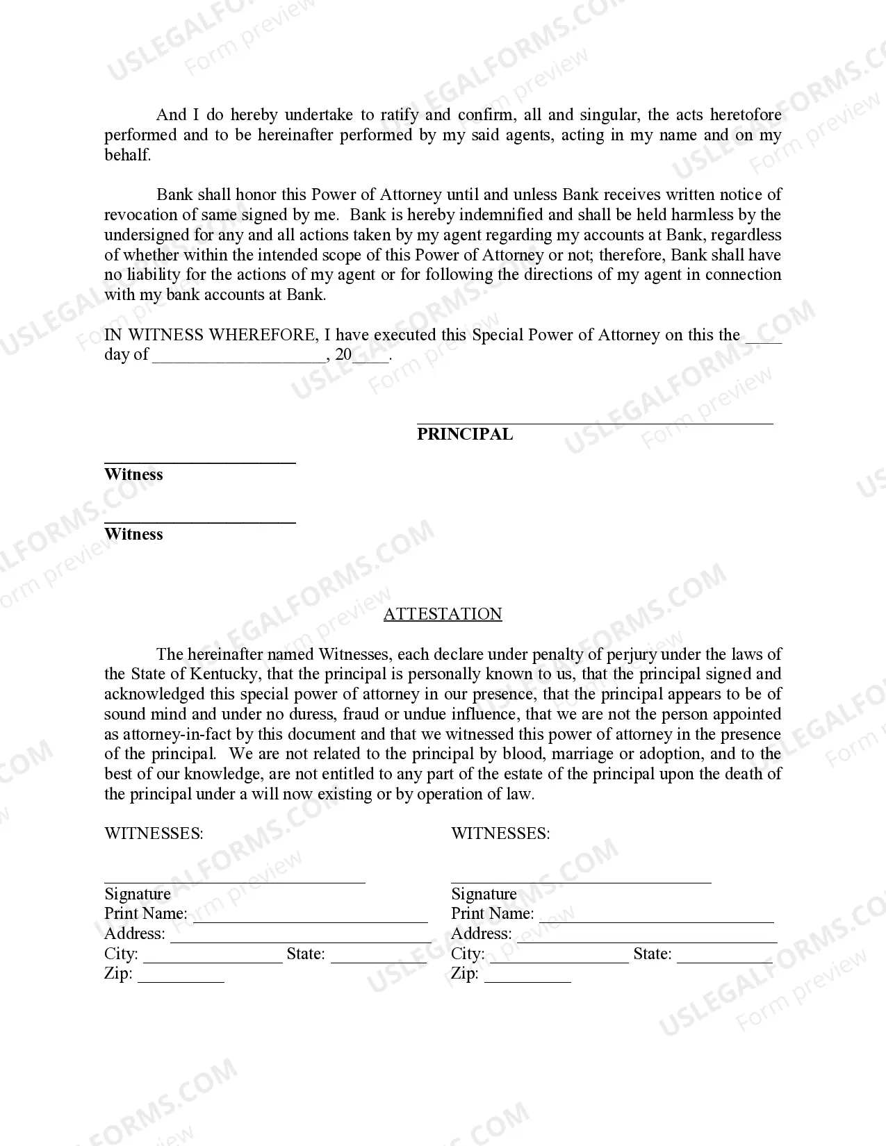 Preview Special Durable Power of Attorney for Bank Account Matters