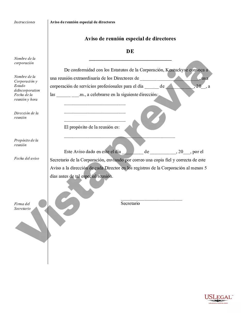 Preview Muestra de registros corporativos para una corporación de servicios profesionales de Kentucky