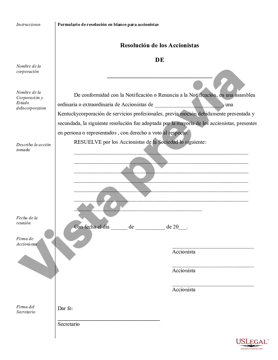 Preview Muestra de registros corporativos para una corporación de servicios profesionales de Kentucky