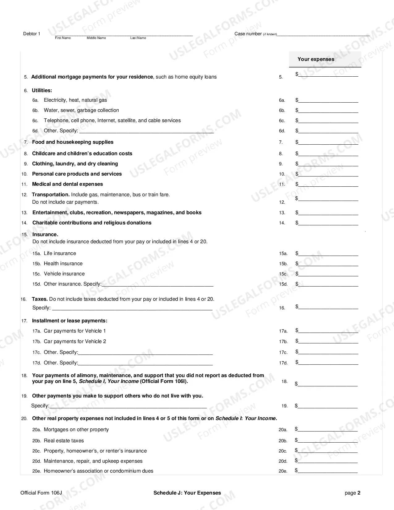 Preview Schedule J: Your Expenses (individuals)