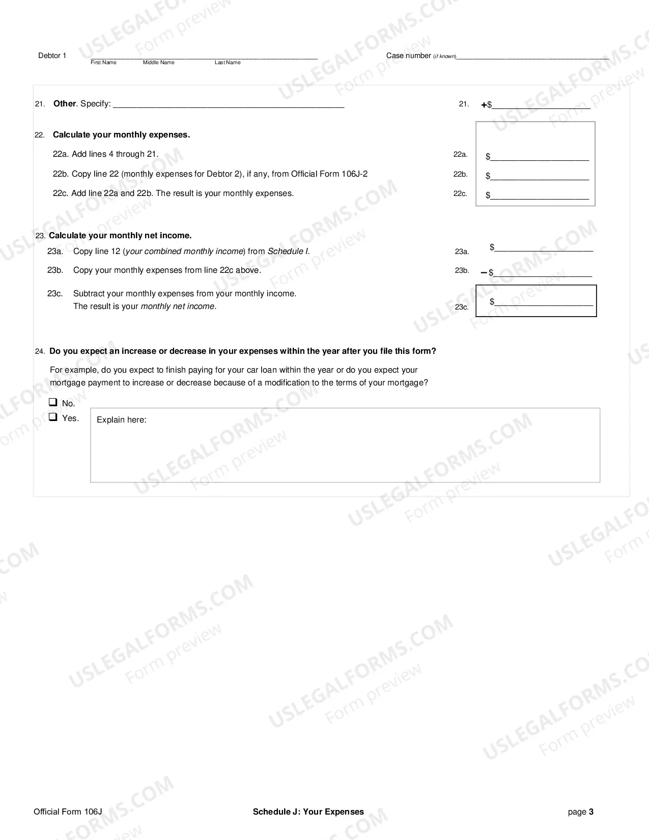 Preview Schedule J: Your Expenses (individuals)