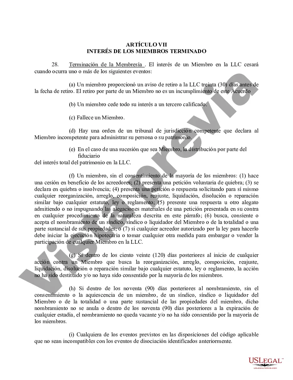 Preview Acuerdo Operativo de Sociedad de Responsabilidad Limitada LLC