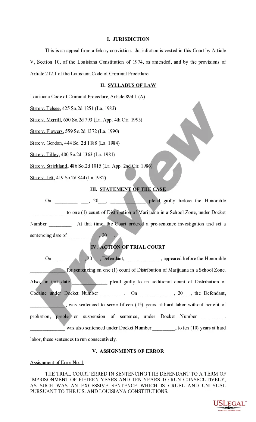 Preview Original Brief on Behalf of Defendant Appellant