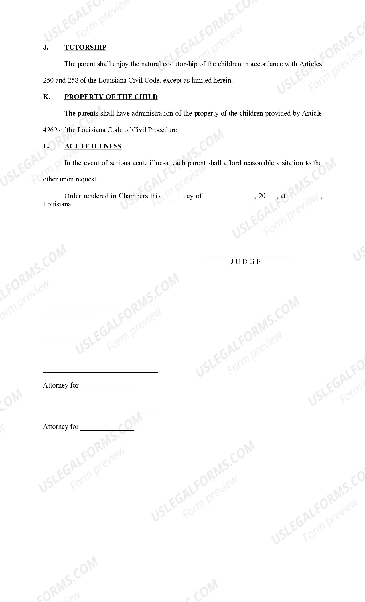 Preview Joint Custody Plan