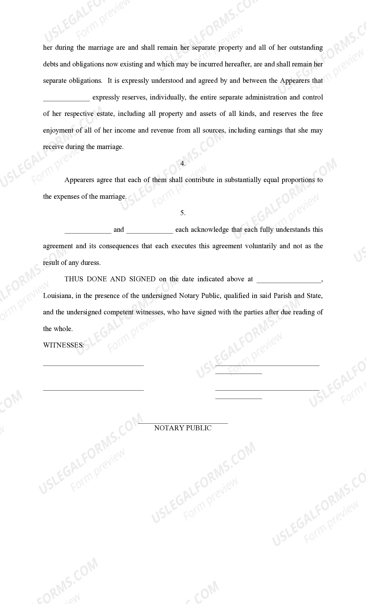 Preview Prenuptial Agreement
