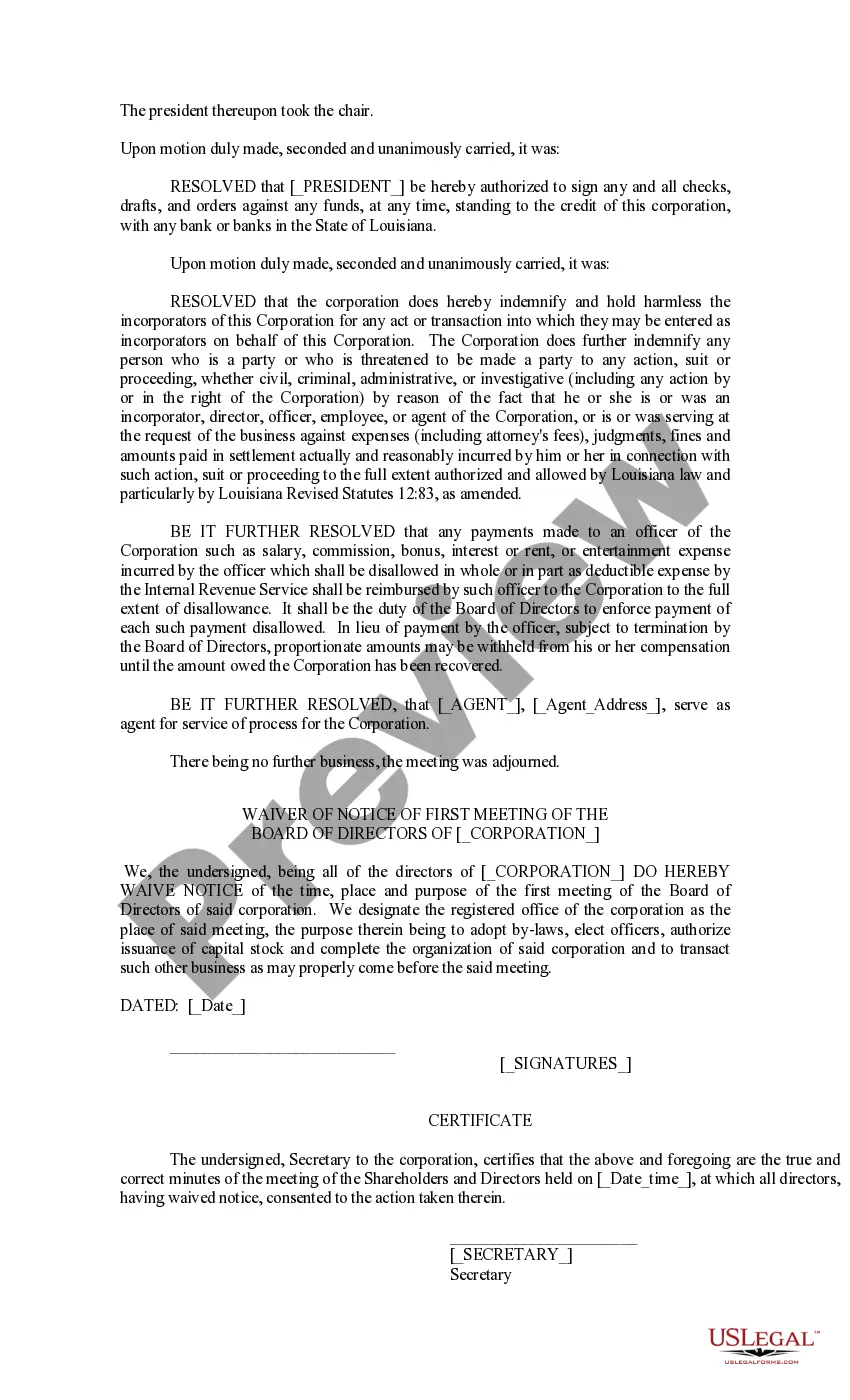 Preview Minutes of the First Meeting of the Company