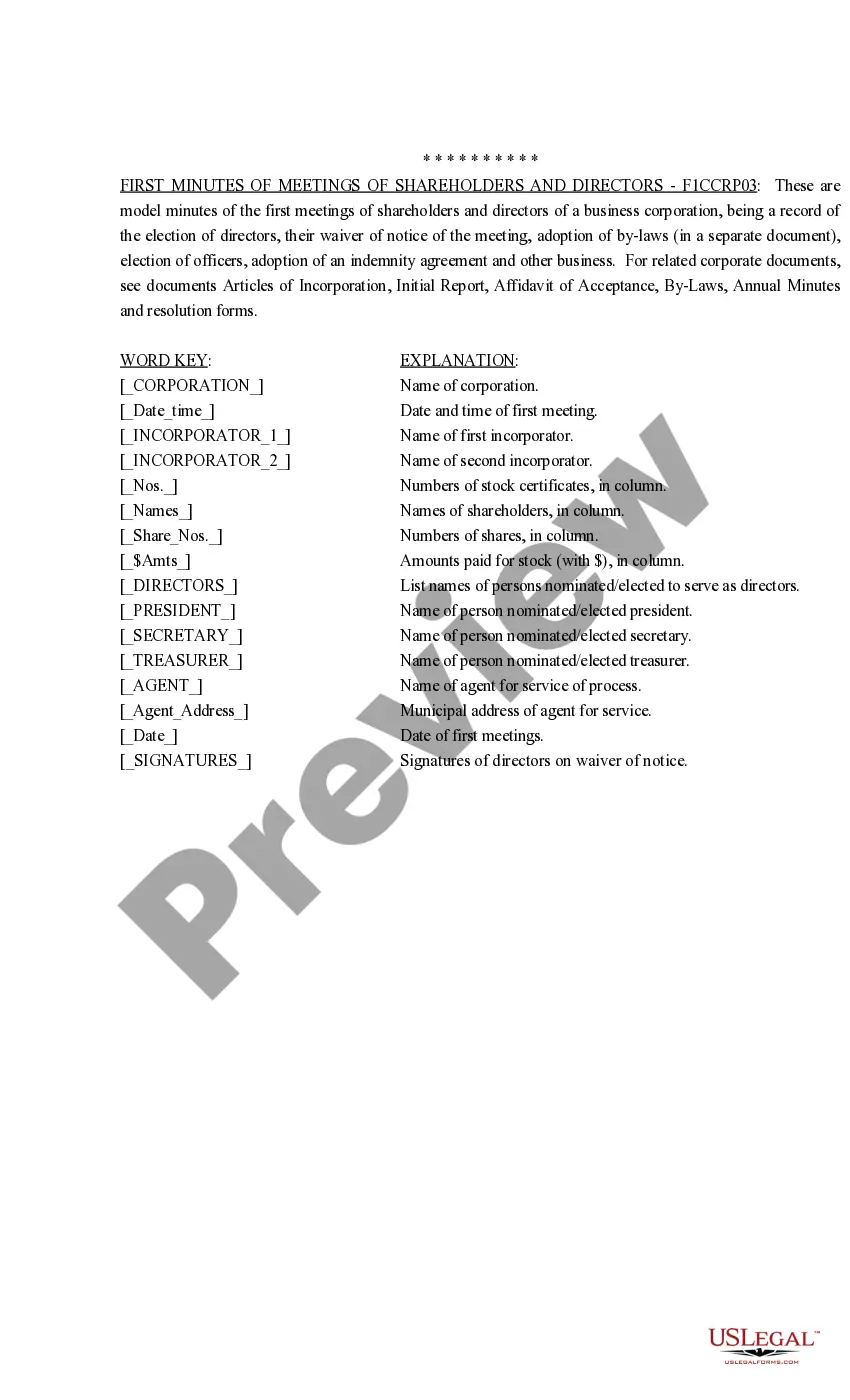 Preview Minutes of the First Meeting of the Company