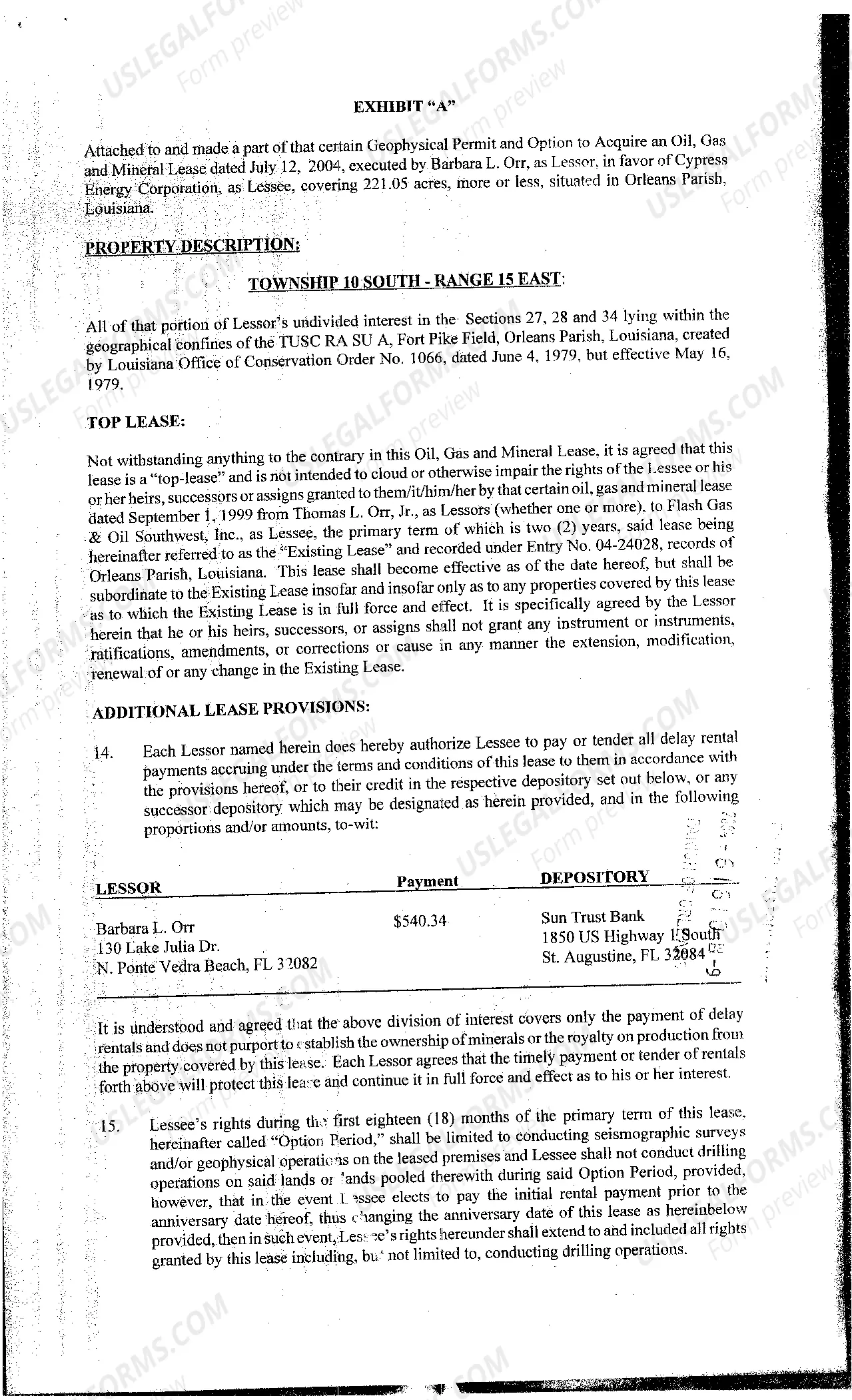 Preview Oil, Gas, Mineral Lease