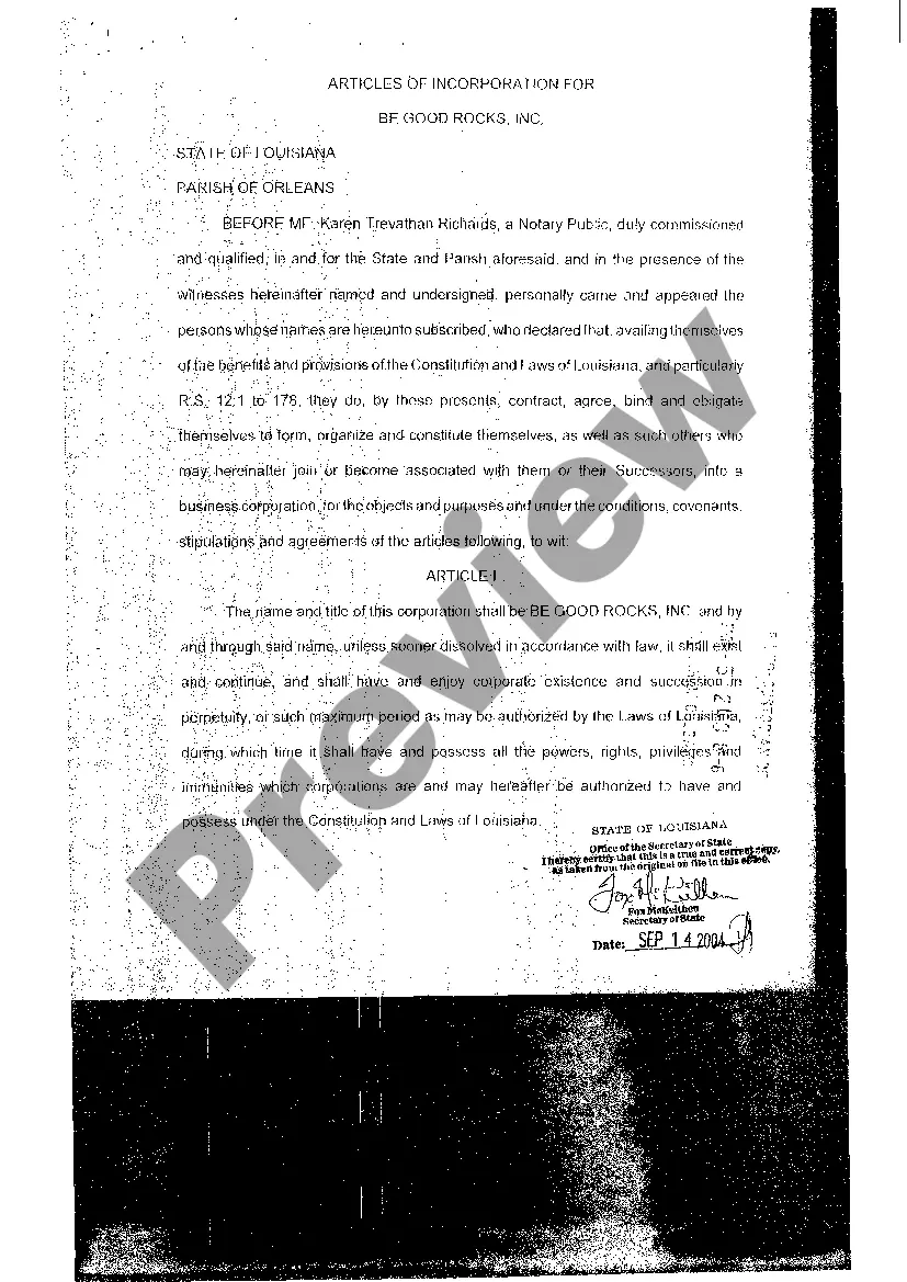 Preview Articles Of Incorporation, Initial Report, and Affidavit of Acceptance of Agency for Service of Process Appointment