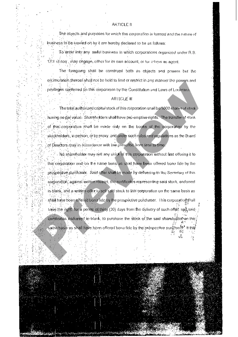 Preview Articles Of Incorporation, Initial Report, and Affidavit of Acceptance of Agency for Service of Process Appointment