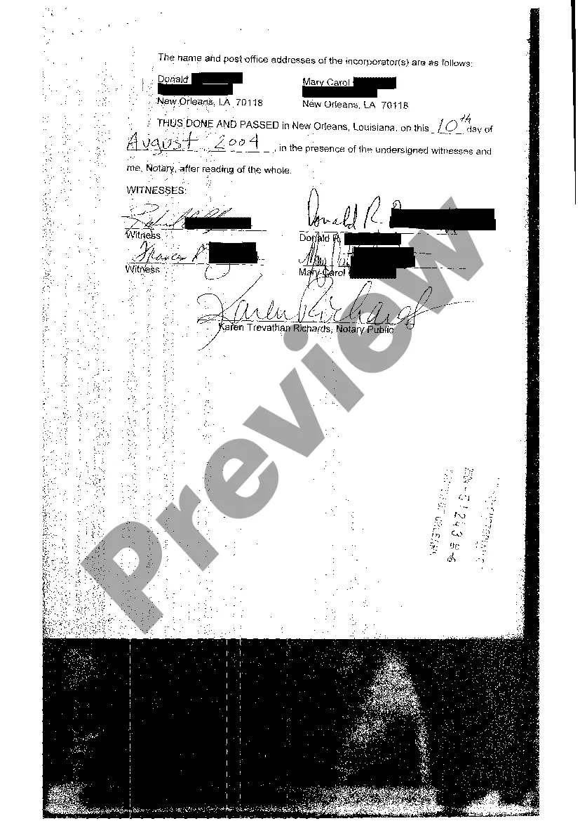 Preview Articles Of Incorporation, Initial Report, and Affidavit of Acceptance of Agency for Service of Process Appointment