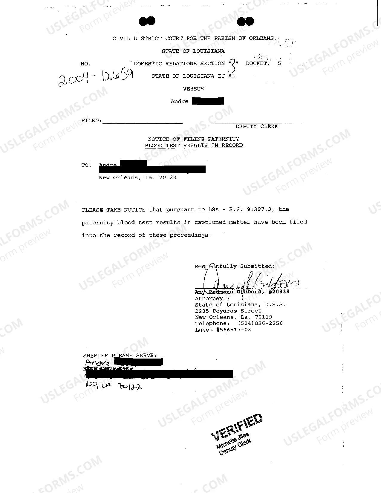 Preview Petition To Establish Paternity And Support Obligations with Notice of Filing Blood Test Results