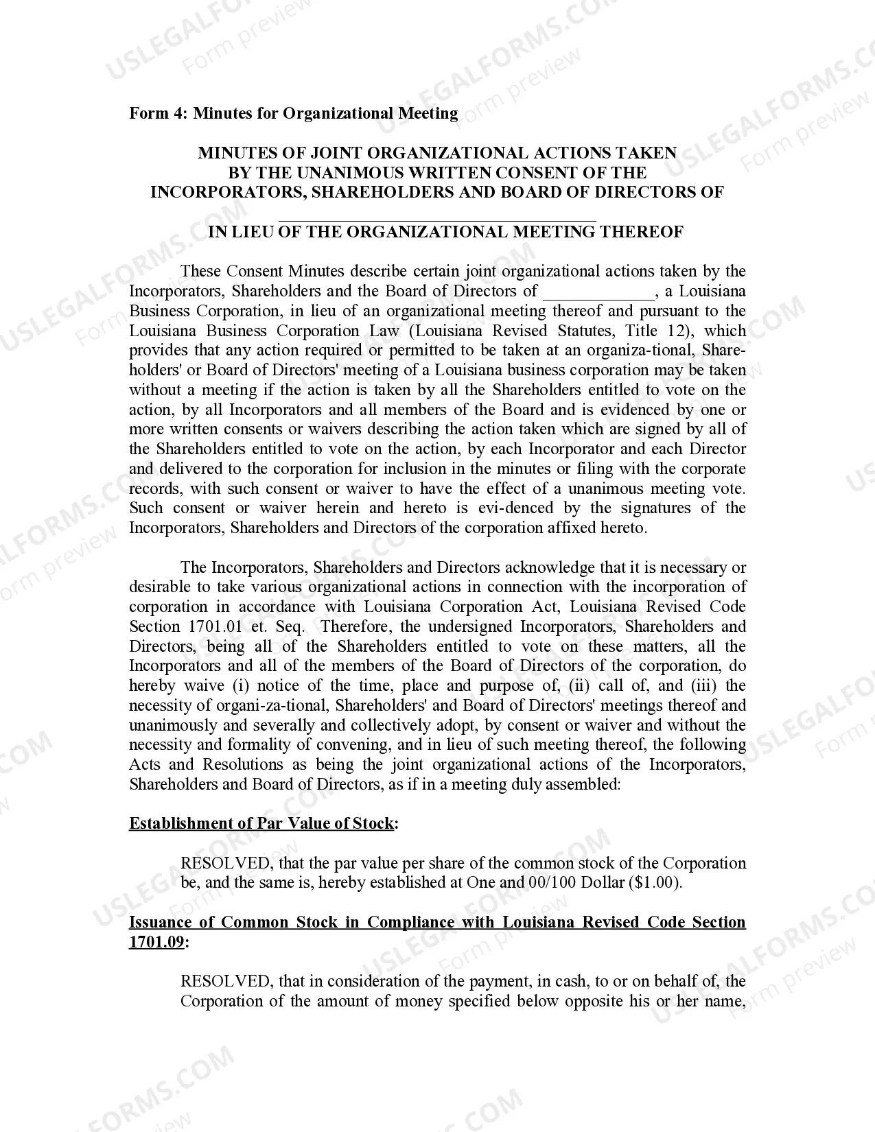 Preview Minutes for Organizational Meeting