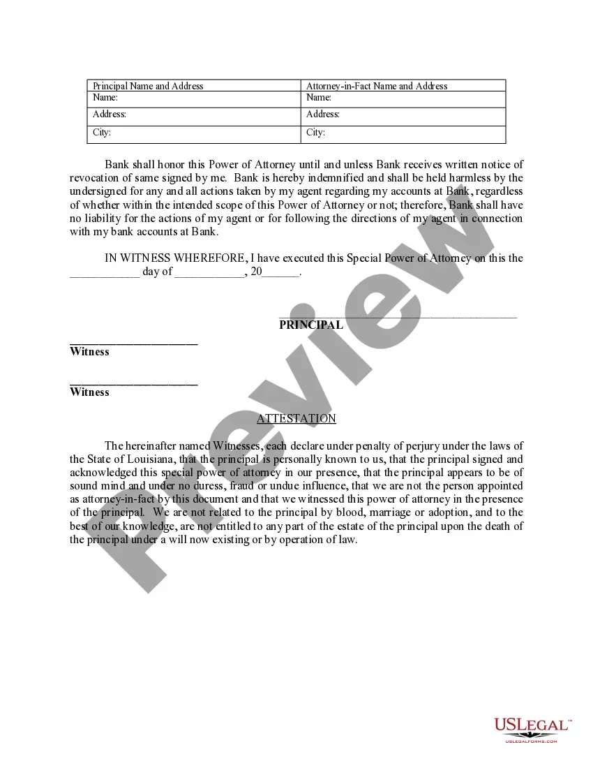 Preview Special Durable Power of Attorney for Bank Account Matters