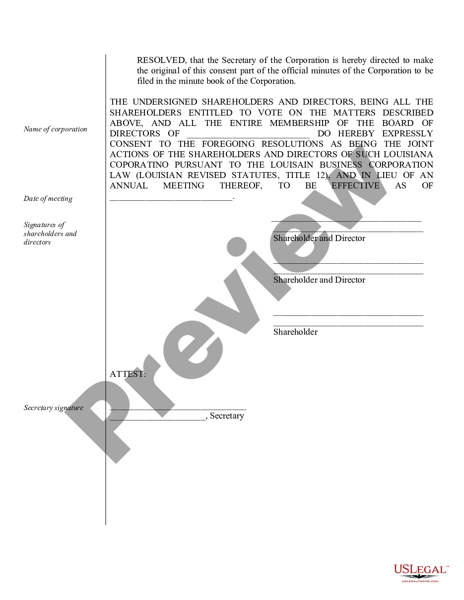 form Sample Annual Minutes for a Louisiana Professional Corporation preview