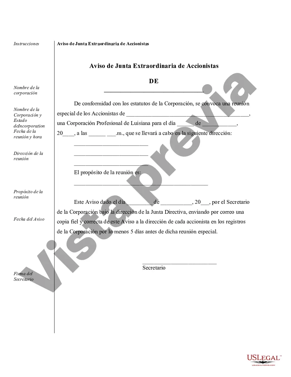Preview Ejemplos de registros corporativos para una corporación profesional de Luisiana
