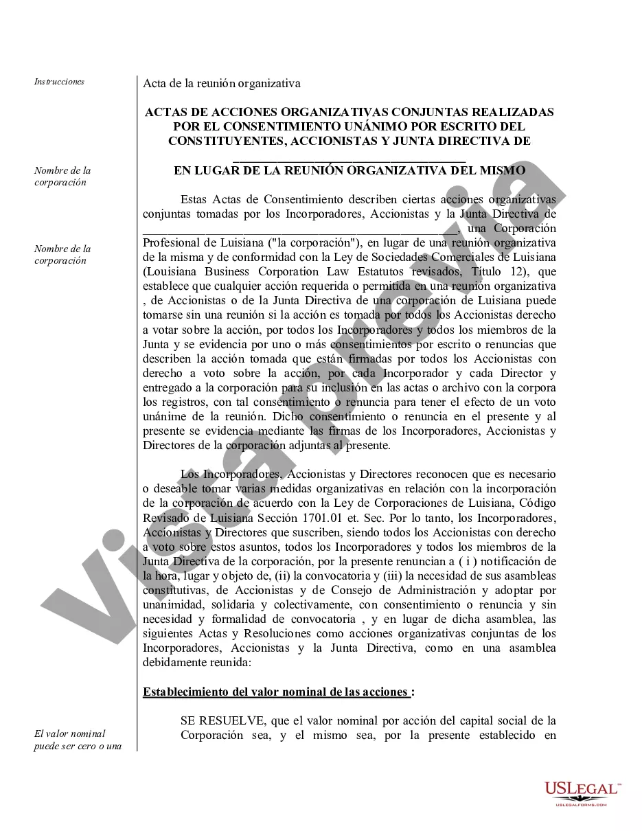 Preview Ejemplo de actas de organización para una corporación profesional de Luisiana