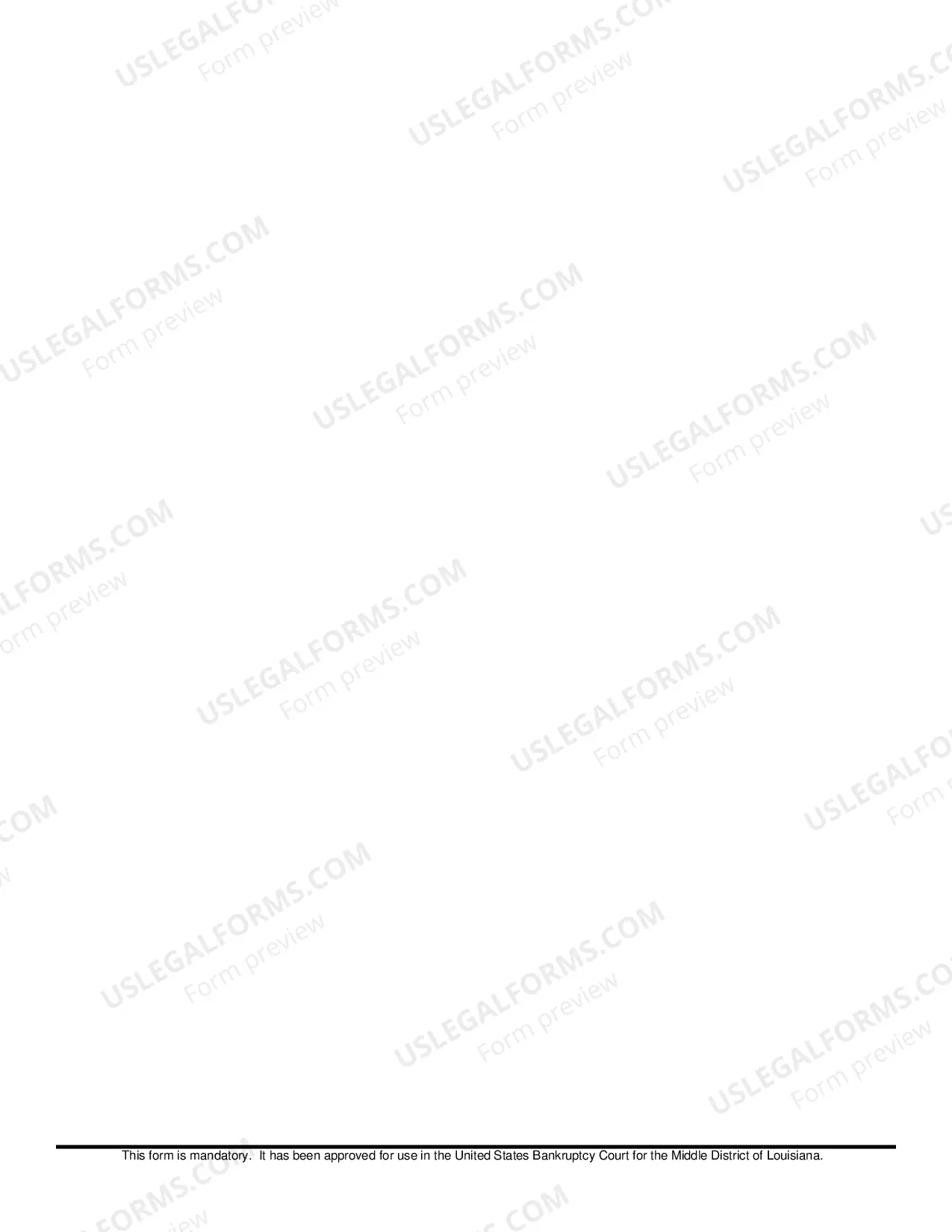Preview DeBN - Update Form (PDF)