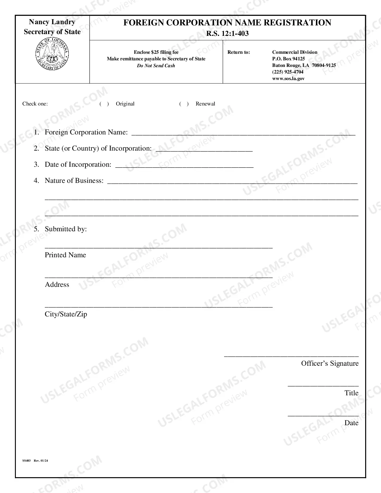 Preview Foreign Name Registration