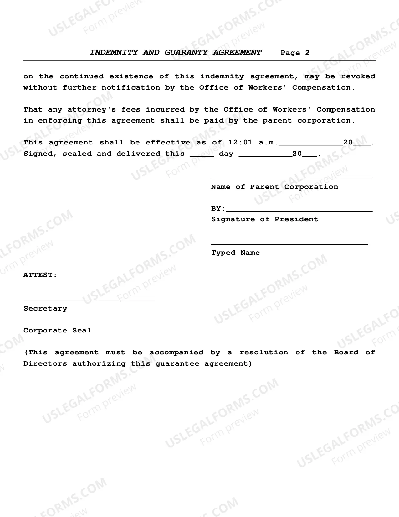 Preview Indemnity And Guaranty Agreement