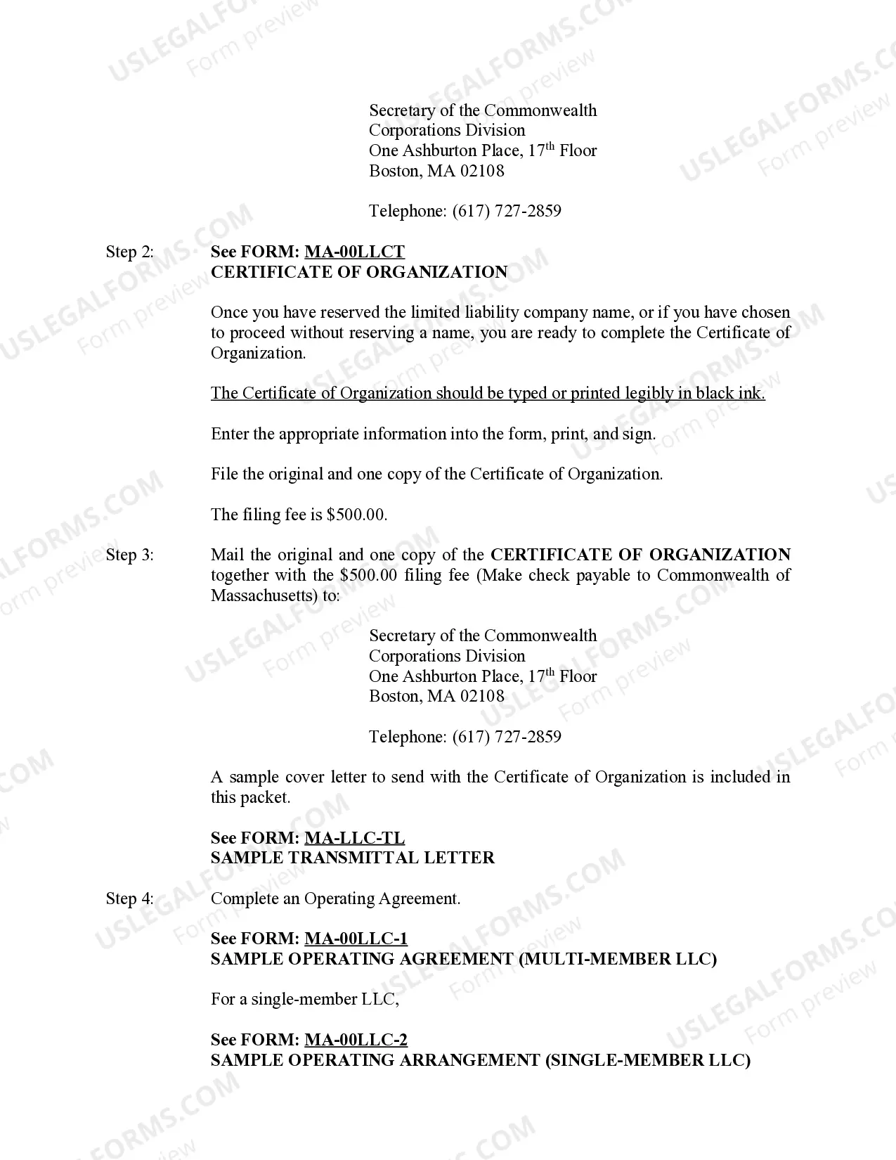 Preview Massachusetts Limited Liability Company LLC Formation Package