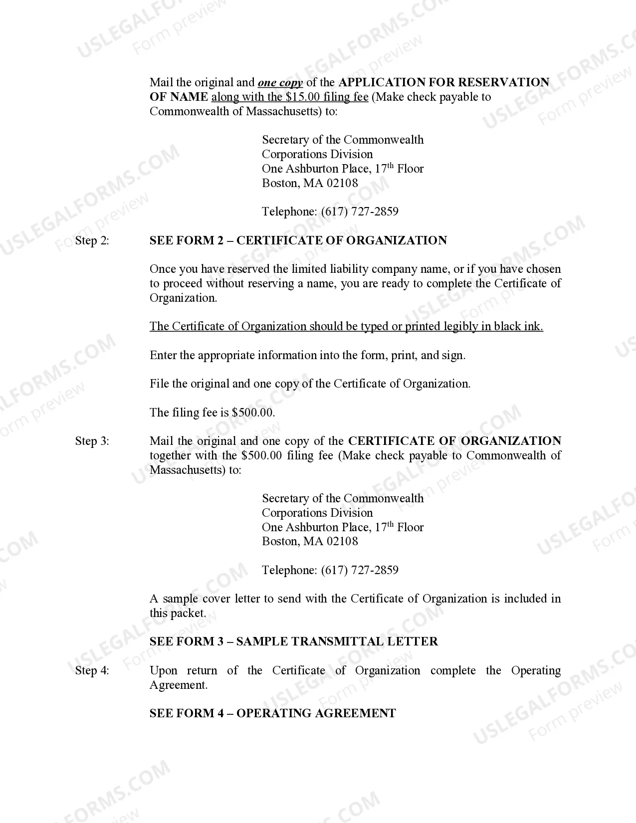 Preview Massachusetts Professional Limited Liability Company PLLC Formation Package for Licensed Professionals