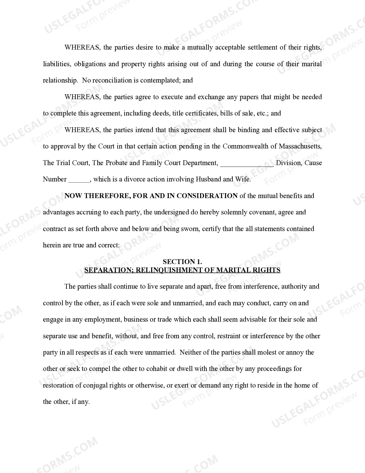 Preview Marital Domestic Separation and Property Settlement Agreement no children