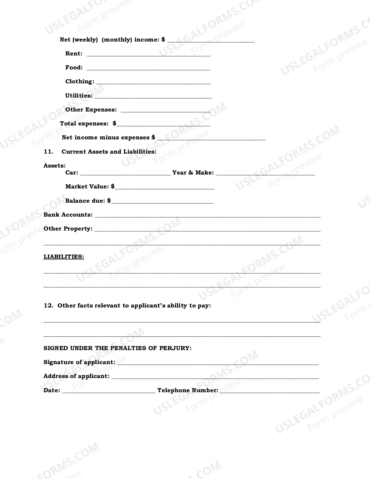 Preview Supplement to Indigency Affidavit - In Forma Pauperis
