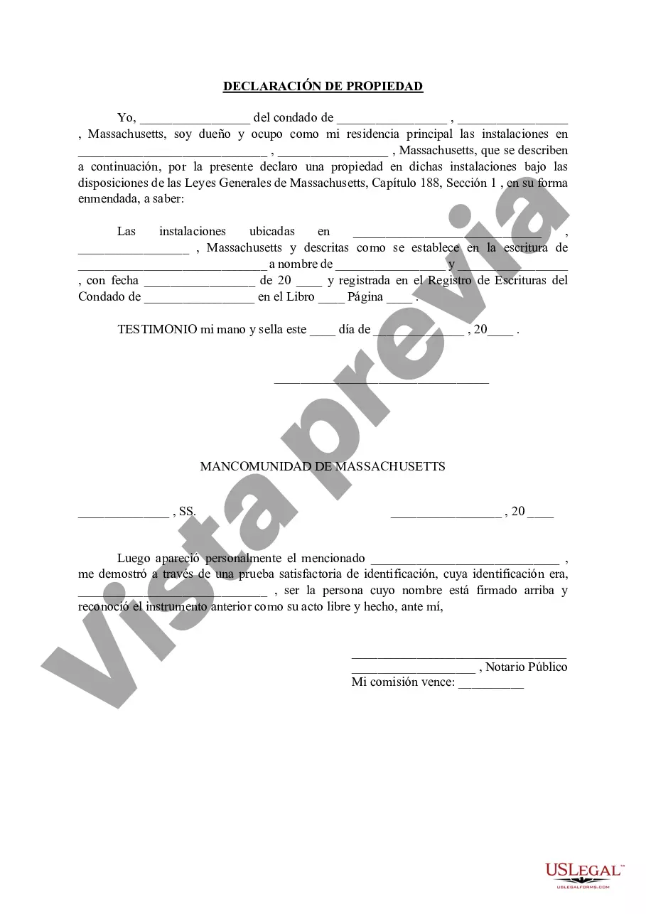 Preview Declaración de Homestead