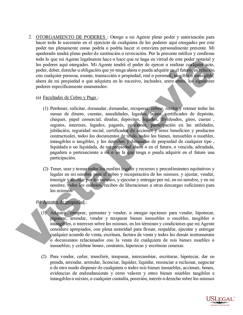 Preview Poder general duradero para la propiedad y las finanzas o efectivo financiero en caso de incapacidad