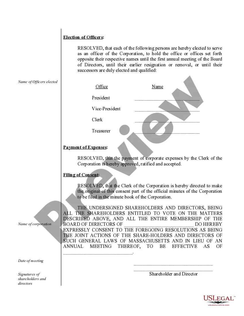 Preview Annual Minutes for a Massachusetts Professional Corporation