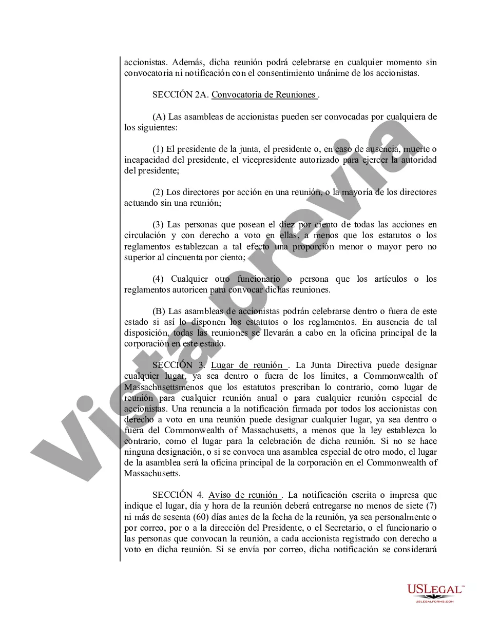 Preview Modelo de estatutos para una corporación profesional de Massachusetts
