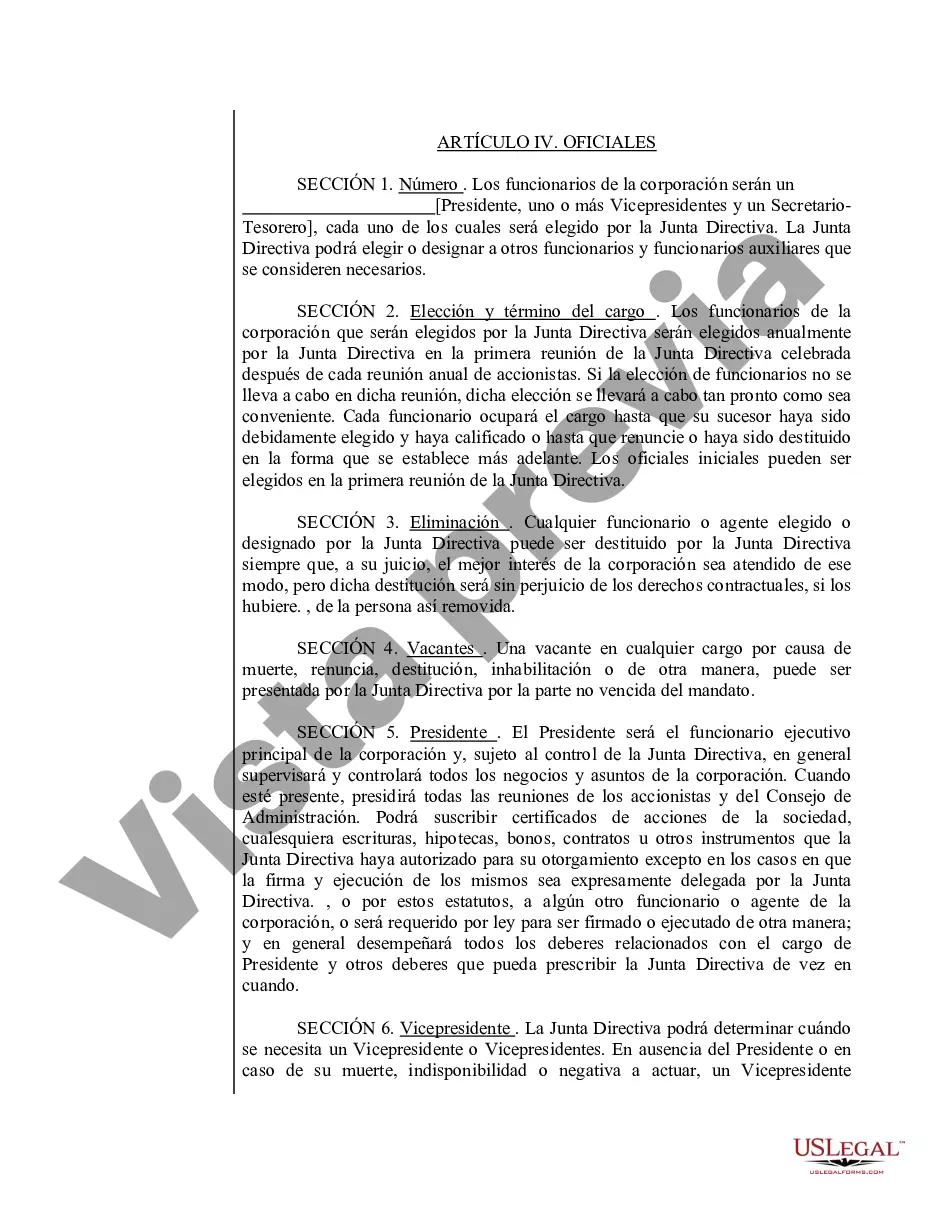 Preview Modelo de estatutos para una corporación profesional de Massachusetts