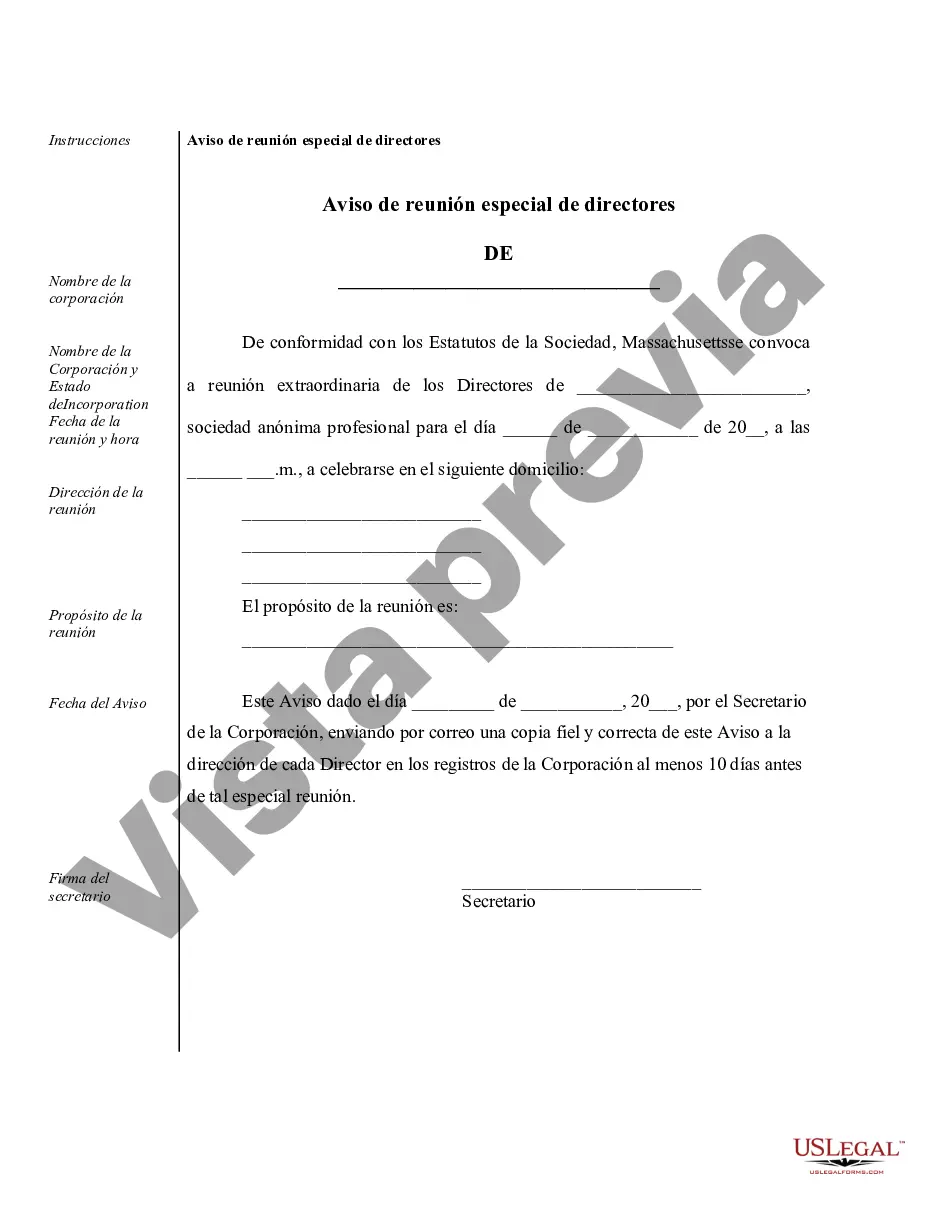 Preview Ejemplos de registros corporativos para una corporación profesional de Massachusetts