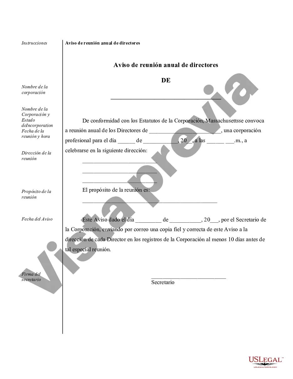 Preview Ejemplos de registros corporativos para una corporación profesional de Massachusetts